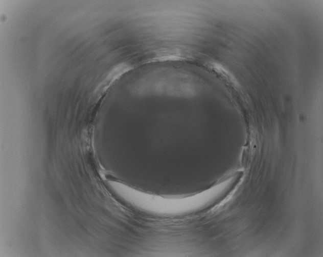 X0000066091353200603311950