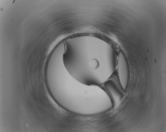 X0000066091422200603311949