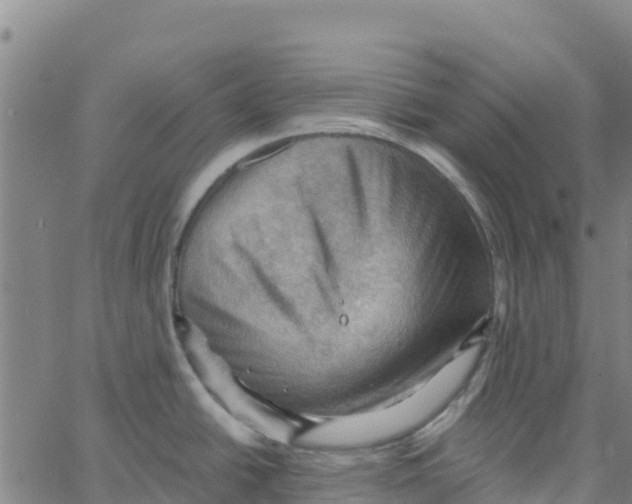 X0000066091438200603311949