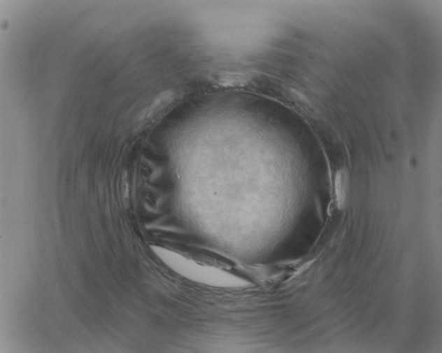 X0000066091443200603311948