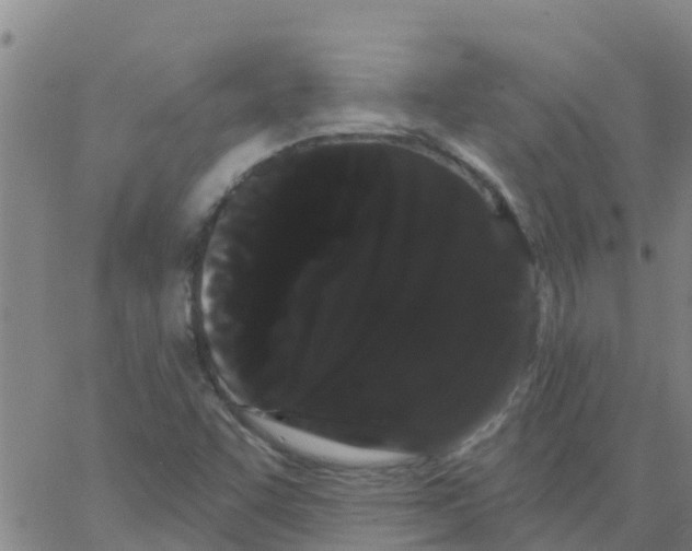 X0000066091455200603311948