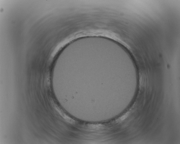 X0000066091498200603311947