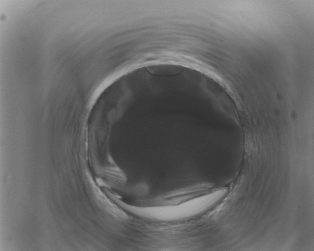 X0000066091522200603311947