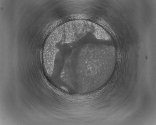 X0000066090014200604071808