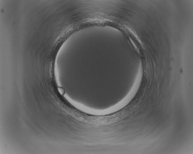 X0000066090023200604071808