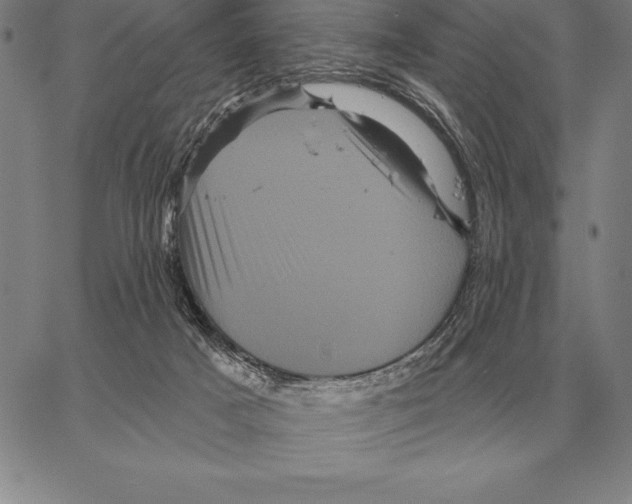 X0000066090025200604071808