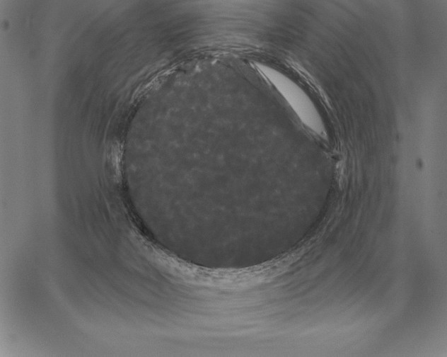 X0000066090026200604071808