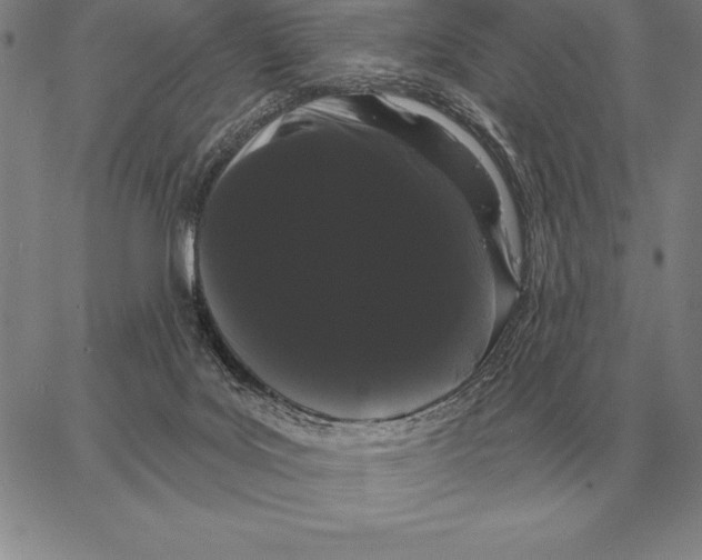 X0000066090027200604071808