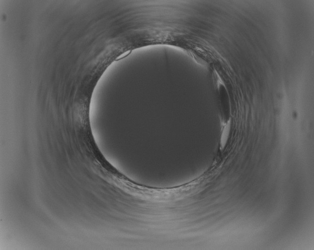 X0000066090035200604071808