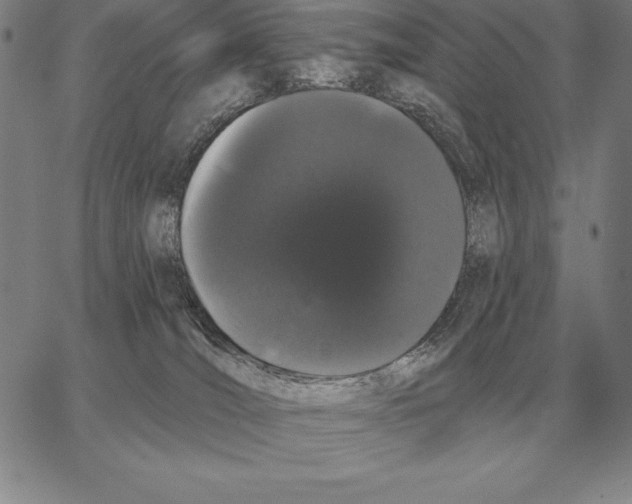 X0000066090036200604071808
