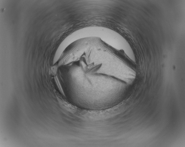 X0000066090037200604071808