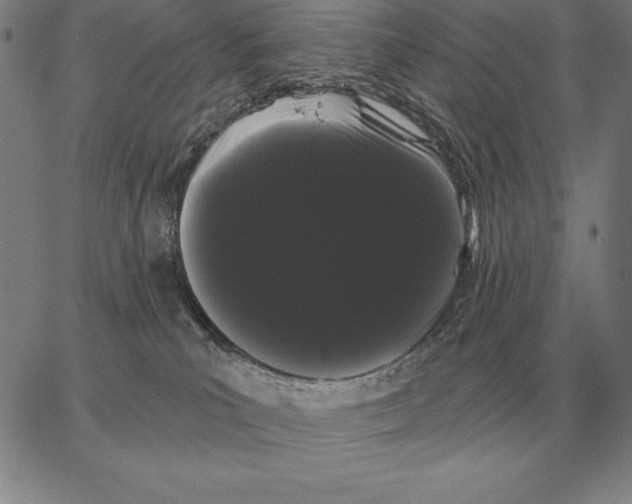 X0000066090039200604071808
