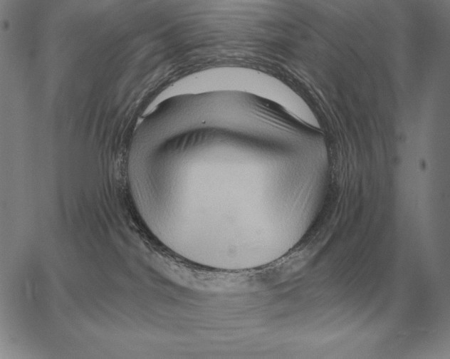 X0000066090044200604071808