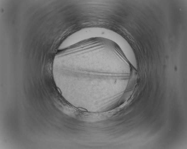 X0000066090045200604071808