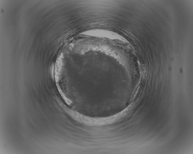 X0000066090047200604071807
