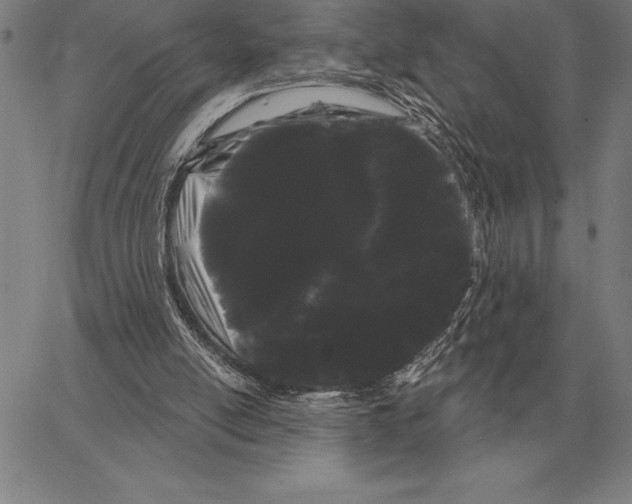 X0000066090054200604071807