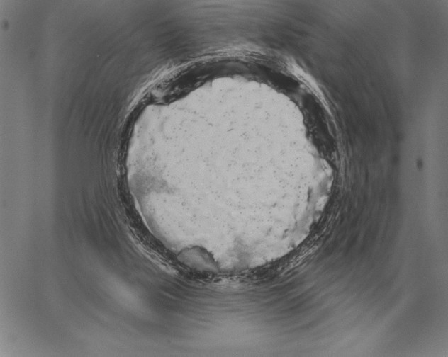 X0000066090059200604071807