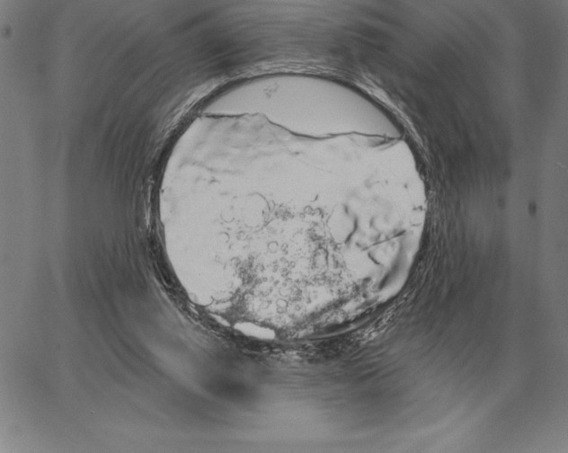 X0000066090062200604071807
