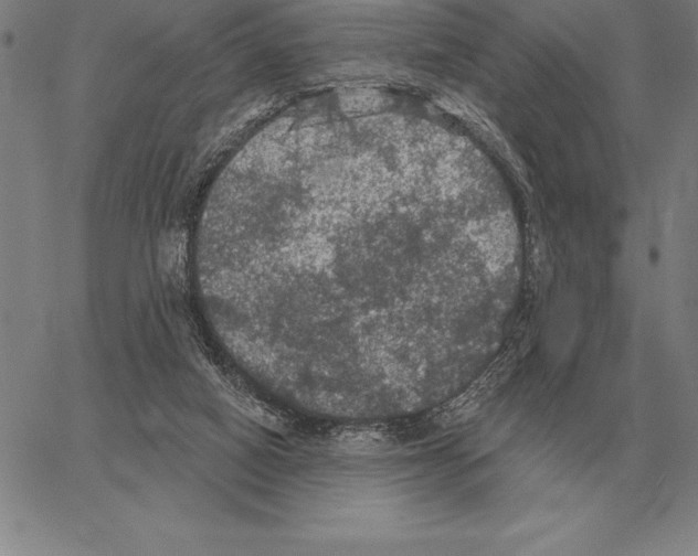 X0000066090066200604071807