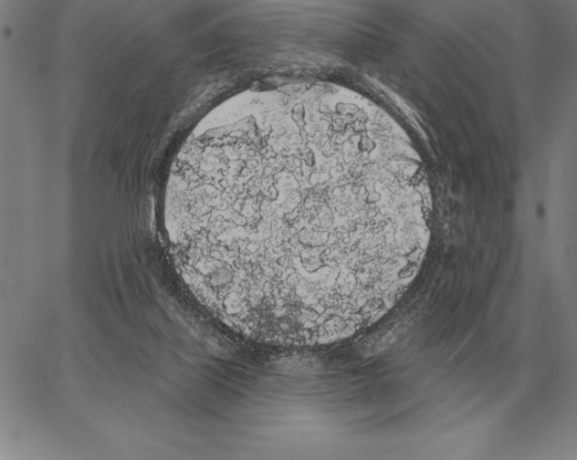 X0000066090067200604071807