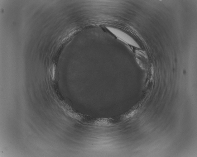 X0000066090076200604071807