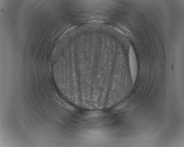X0000066090077200604071807