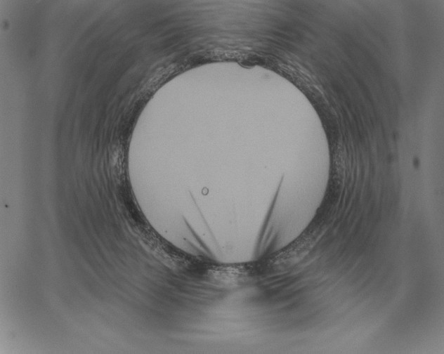 X0000066090079200604071807