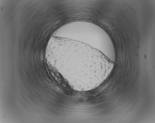 X0000066090081200604071807