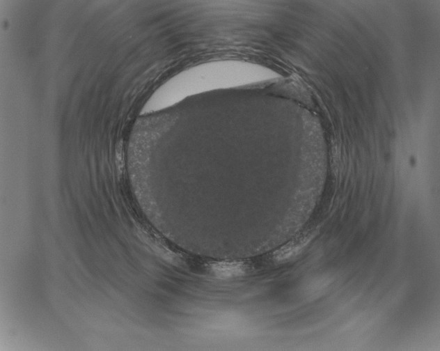 X0000066090085200604071807
