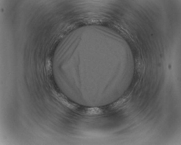 X0000066090087200604071807