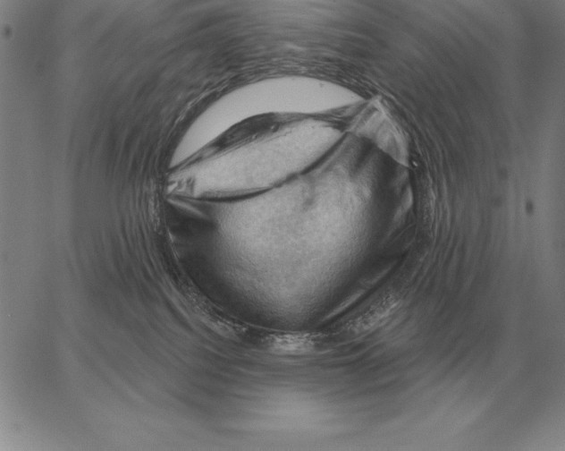 X0000066090088200604071807