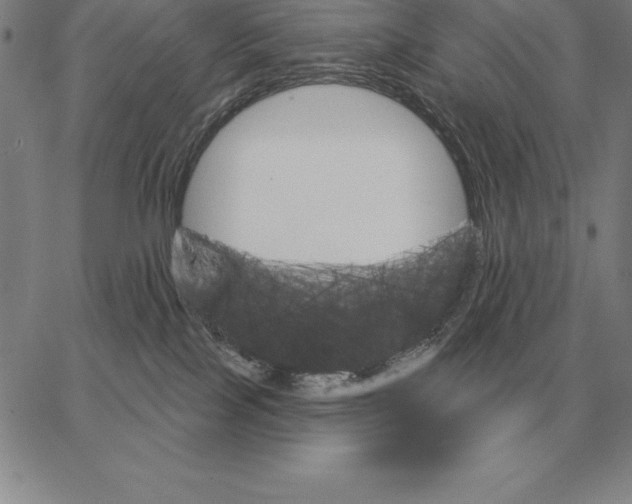 X0000066090089200604071807