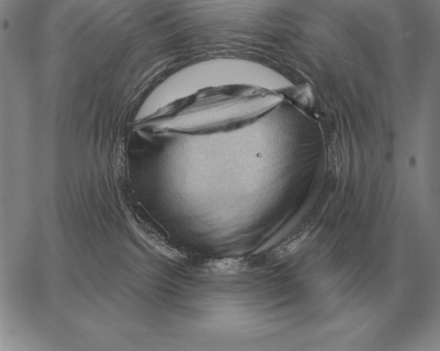 X0000066090092200604071807