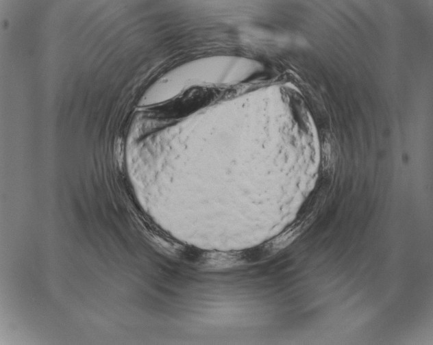 X0000066090093200604071807