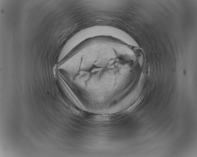 X0000066090094200604071807