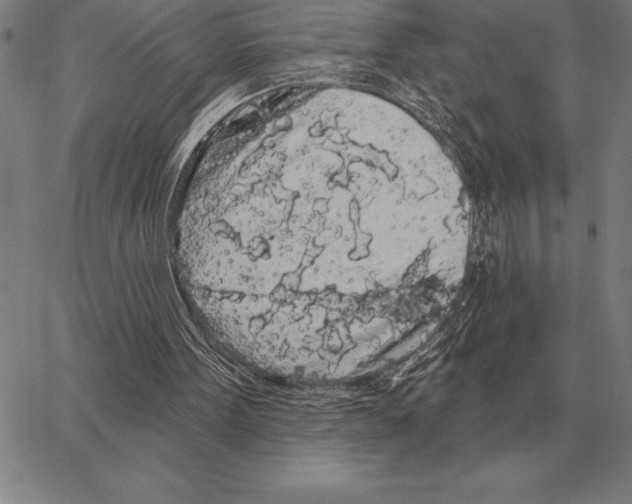 X0000066090099200604071807