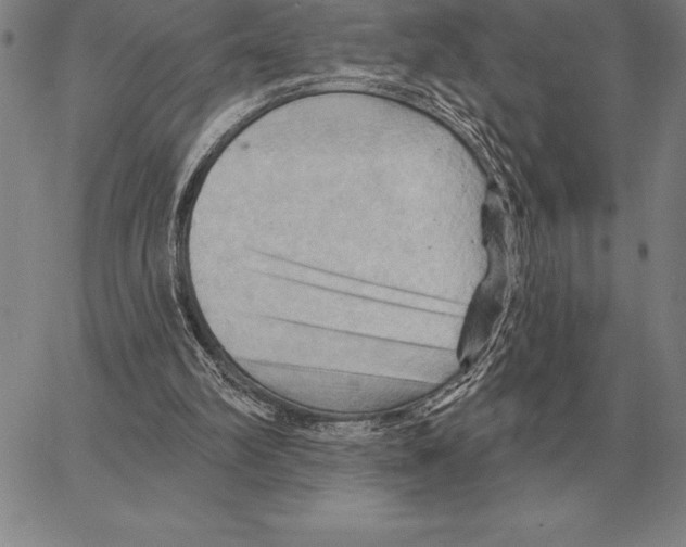 X0000066090102200604071807