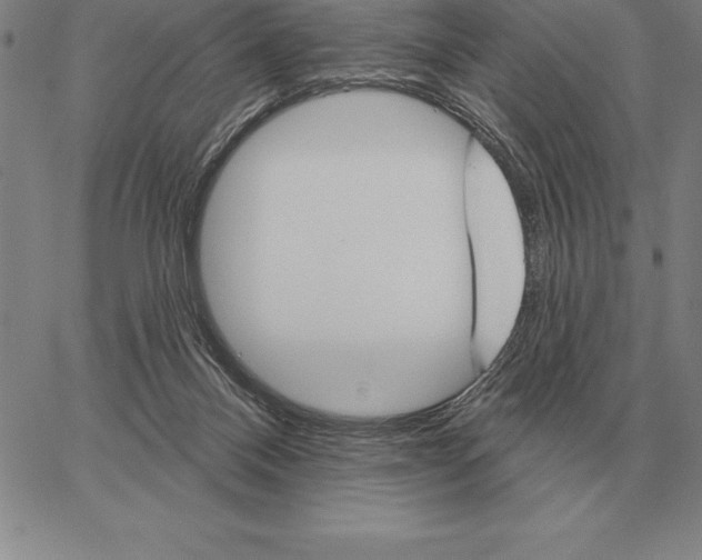 X0000066090120200604071806