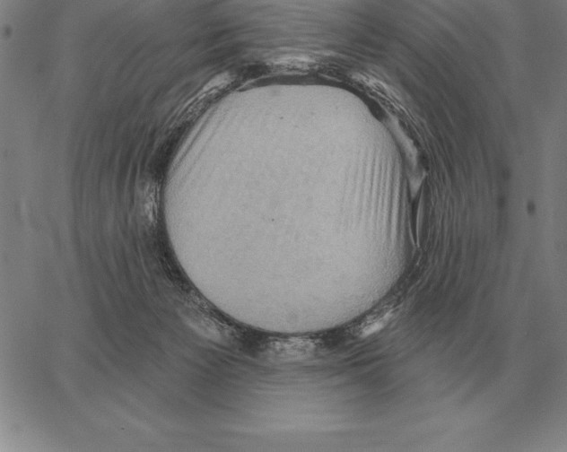 X0000066090125200604071806
