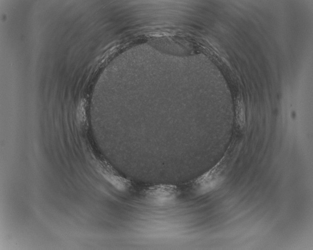 X0000066090128200604071806