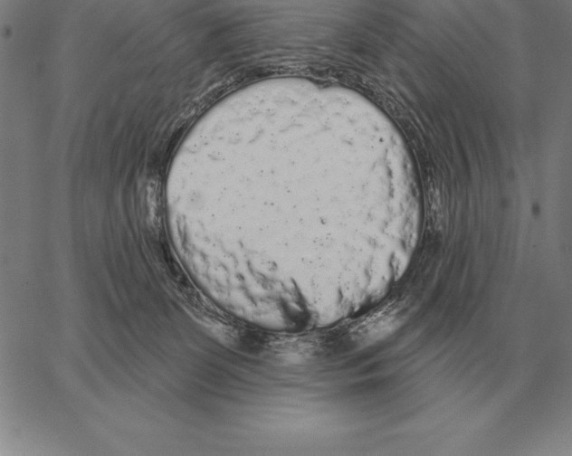 X0000066090131200604071806