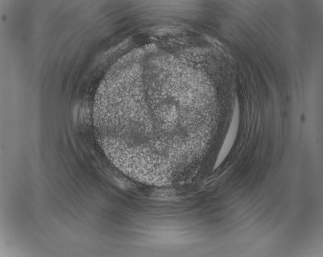 X0000066090137200604071806