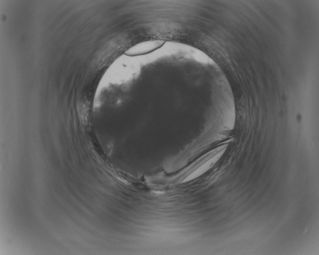 X0000066090139200604071806