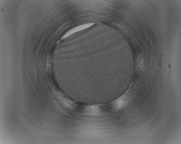 X0000066090140200604071806