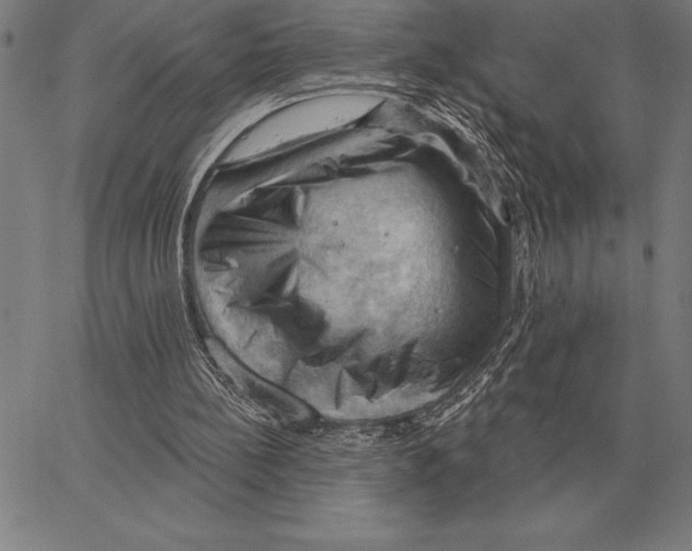 X0000066090148200604071805
