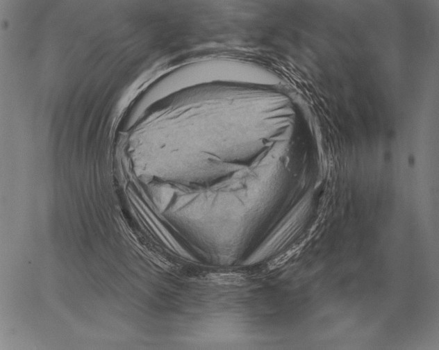 X0000066090150200604071805