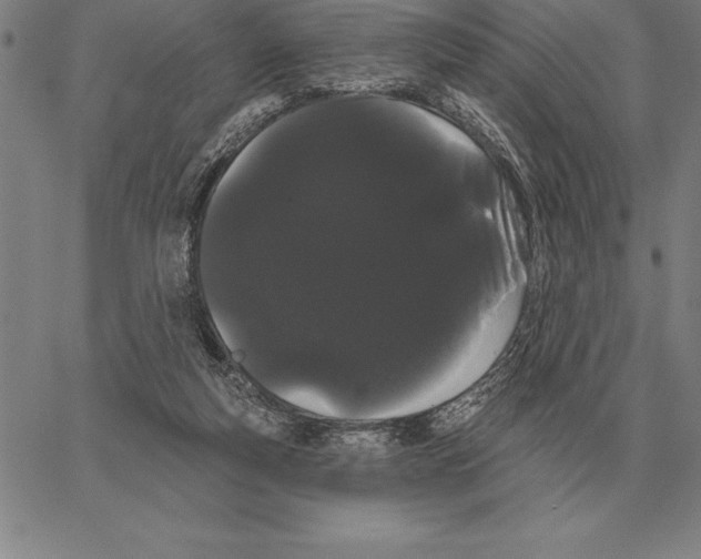 X0000066090163200604071805