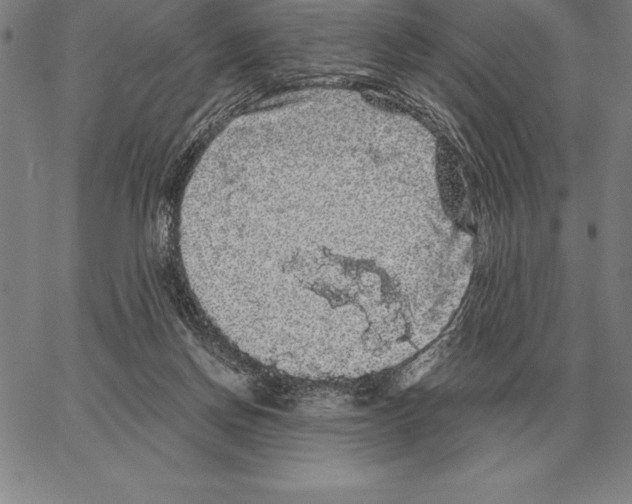 X0000066090166200604071805