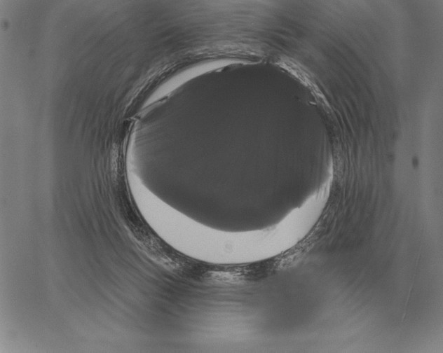 X0000066090167200604071805