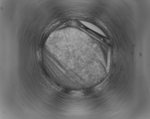 X0000066090170200604071806